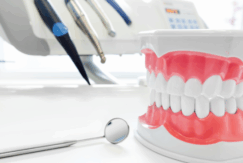 予防歯科｜まきの歯科